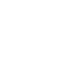 pregnant woman icon with baby inside